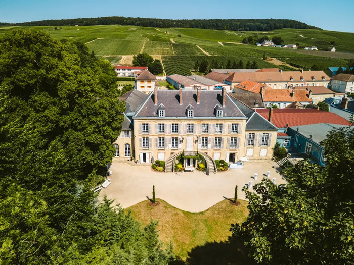 Découverte libre du parc du Château de Pierry, Parc du Château de Pierry, Pierry