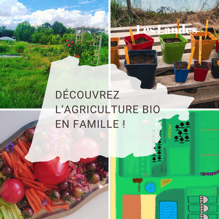 Découvrez l’agriculture bio en famille !, Atelier Bombylius, Périgny