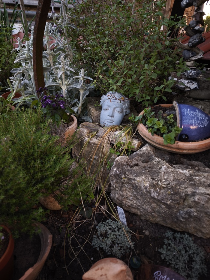 Découvrir et s’émerveiller dans le jardin privé « À la Karl », Garten alakarl, Am Großen Bruch