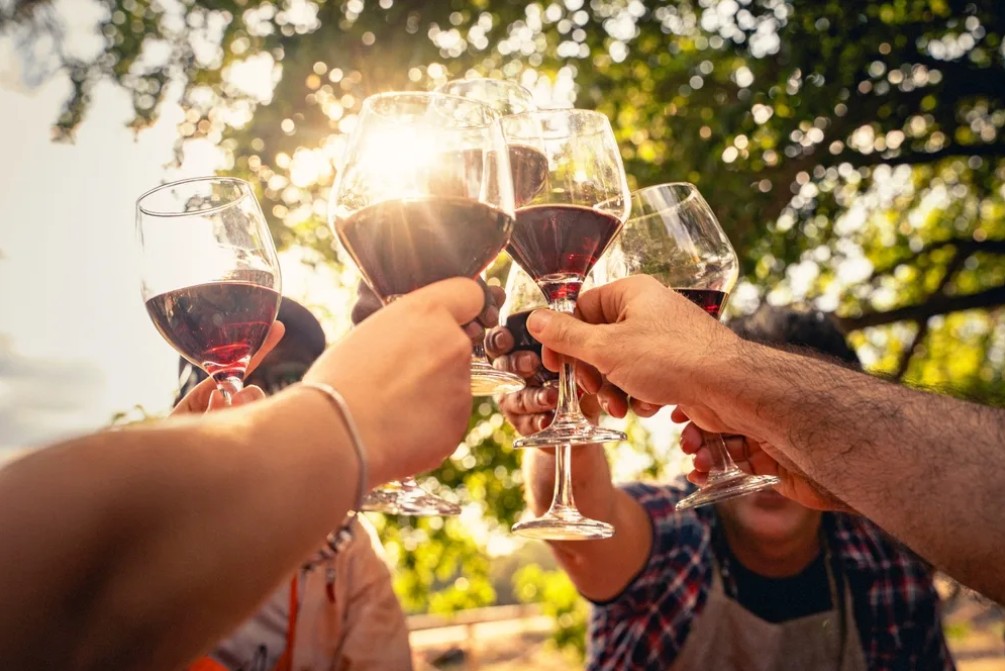 DÉGUSTATION VIGNERONNE AVEC LE DOMAINE THUNEVIN CALVET  Torreilles