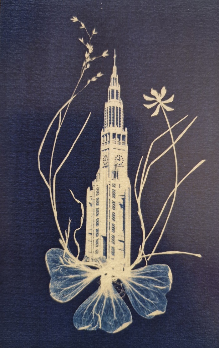 Démonstration cyanotype Jardin Don Bosco Paris