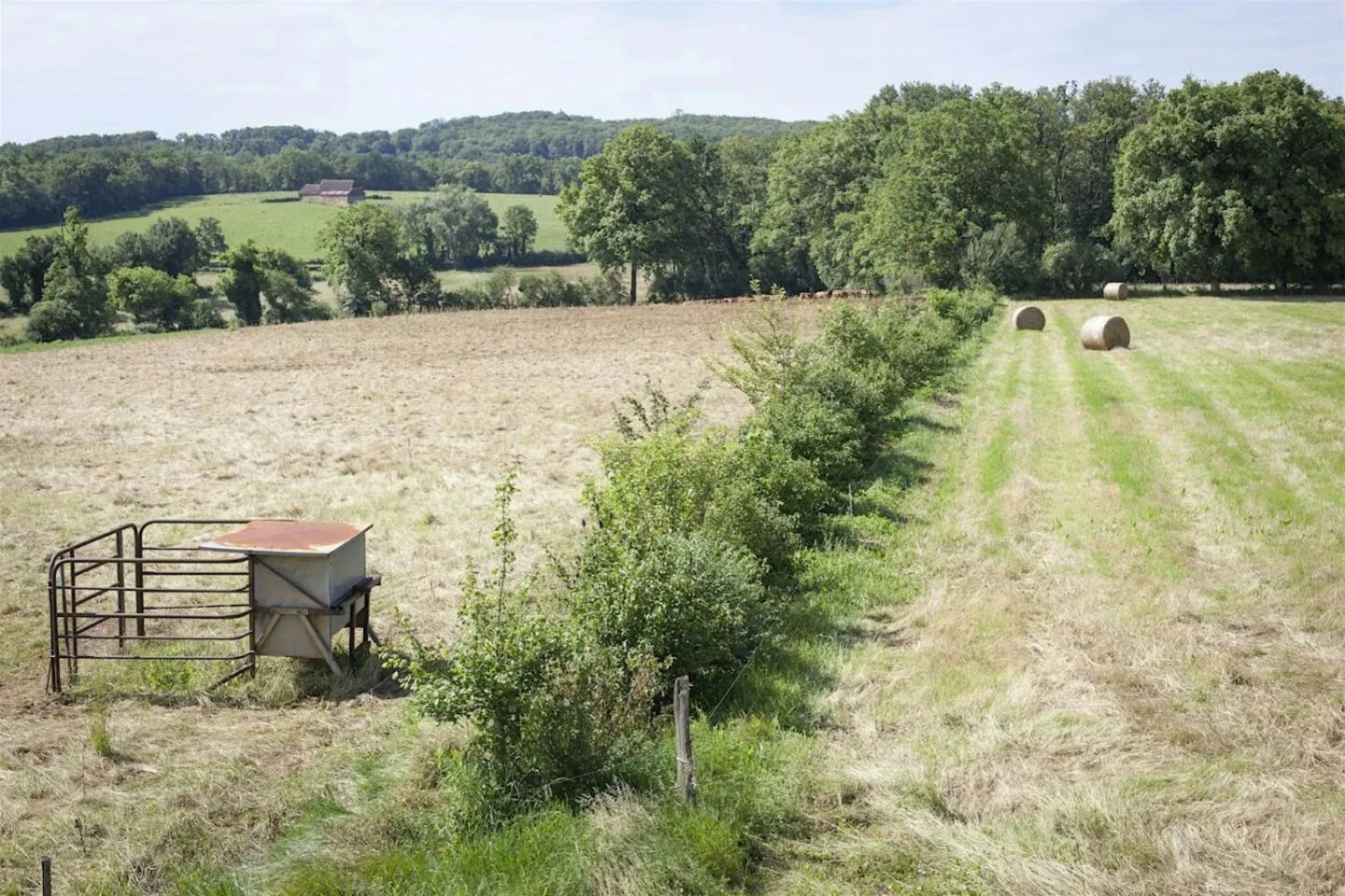 Des arbres et des champs