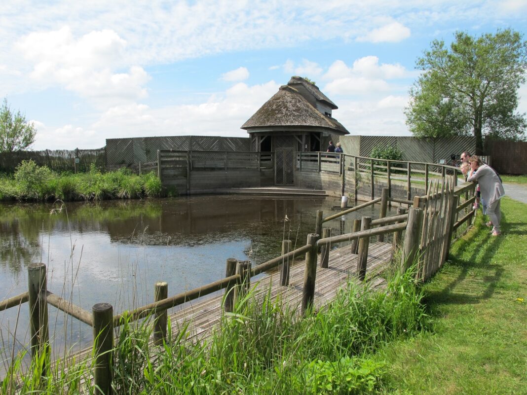 Des marais à découvrir Saint-Côme-du-Mont Carentan-les-Marais