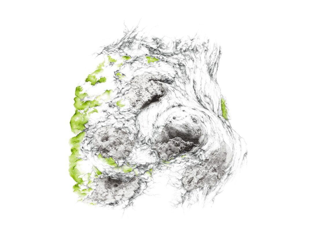 Dessin, Mathilde Wolff & photographie, Jérôme Pérez art contemporain Rue d&rsquo;Argouges Gratot