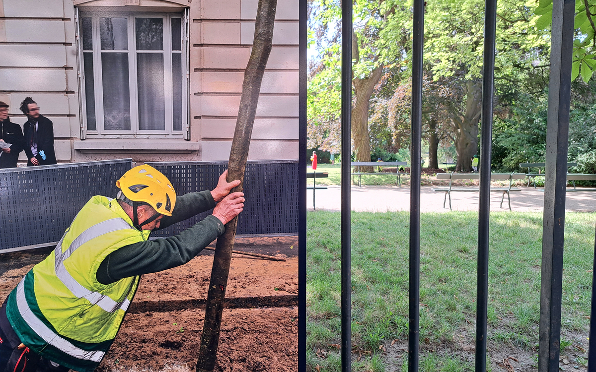 « Deux métiers, deux photographes » une exposition itinérante sur les grilles des jardins Ecole Du Breuil Paris
