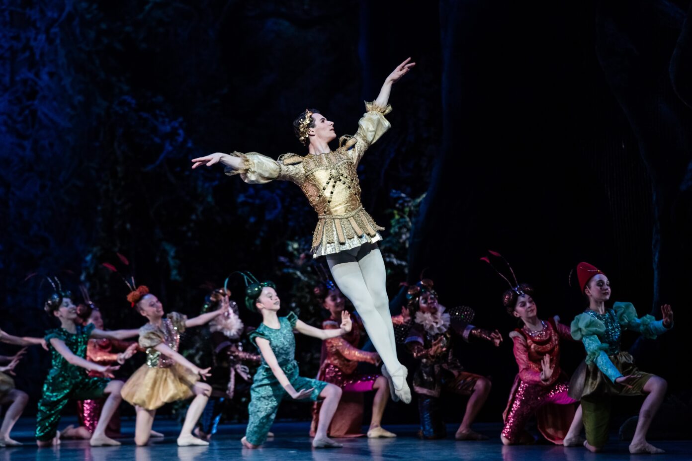 Diffusion Micro-Folie ballet Le Songe d’une nuit d’été Médiathèque Jean-Louis Villenave Labouheyre