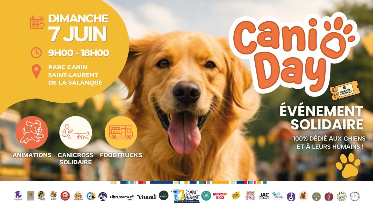 DOG DAY  Saint-Laurent-de-la-Salanque