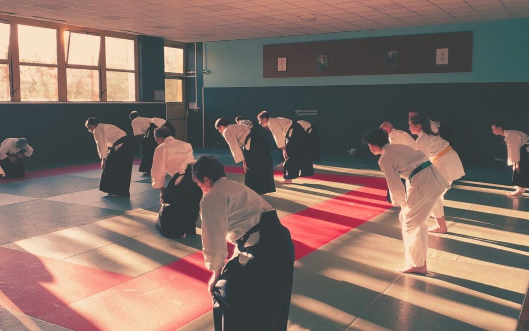 Dojo d’été Aïkido Gymnase de la Porte de La Plaine PARIS