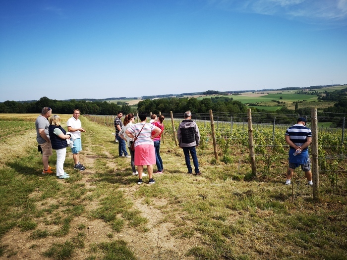 Domaine Delorozoy – Portes Ouvertes – dégustation – vente, Domaine Delorozoy, Montdauphin