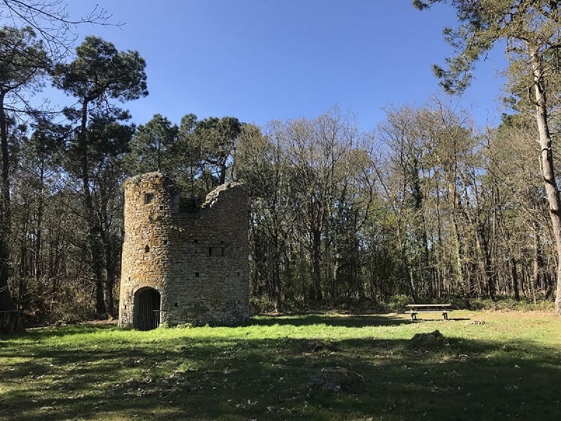 Donjon et moulin de Pirou  Pirou