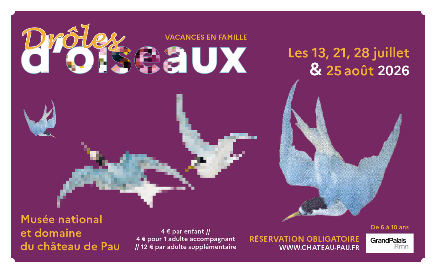 Drôles d&rsquo;oiseaux Rue du Château Pau