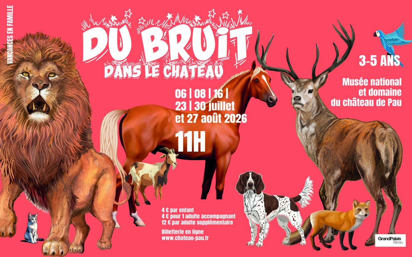 Du bruit dans le château Rue du Château Pau