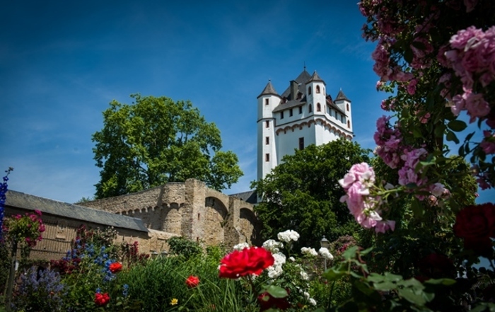 Eltviller Rosentage Eltville - Rheinufer