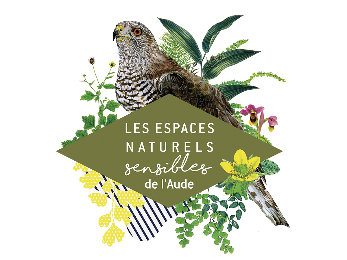 ENS JOURNÉE EUROPÉENNE DES OISEAUX MIGRATEURS Mouthoumet 2026-10-03