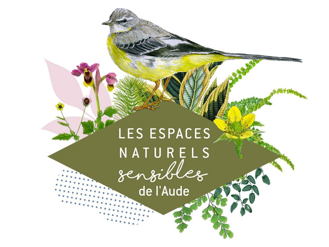 ENS PETITE REINE POUR GRANDS ESPACES !  Bages