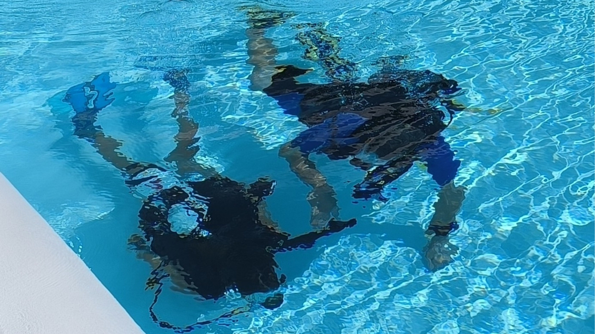 Été Actif baptême de plongée sous-marine avec bouteille Piscine Bertran de Born Périgueux