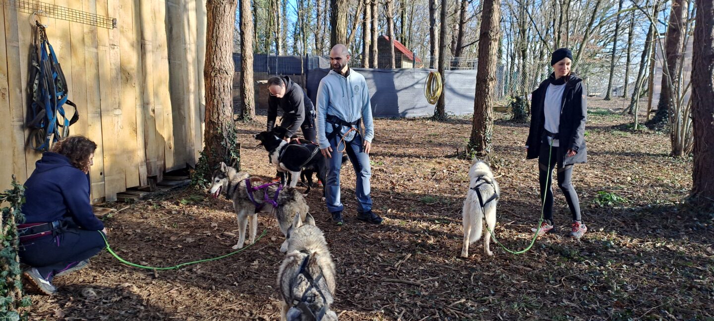 Été Actif cani-rando Parking de la halle Bourrou