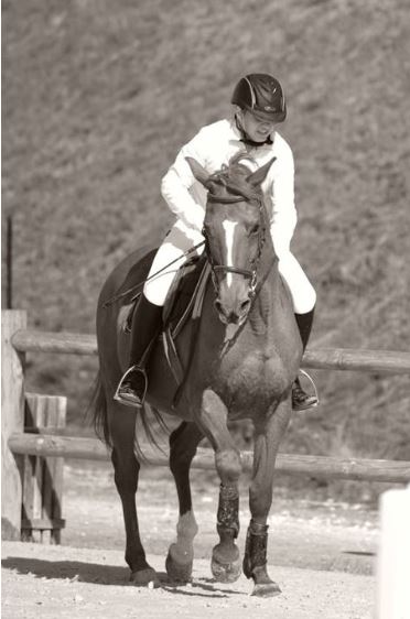 Eté Actif Equitation La Bachellerie