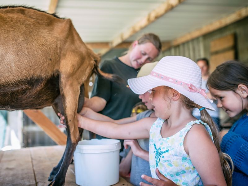 Expérience fermier d’un jour Ferme la Chèvre Rit Granville 2026-08-21
