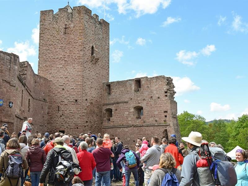 Expériences Mossig & Vignoble Visite guidée du Château de Wangenbourg Wangenbourg-Engenthal