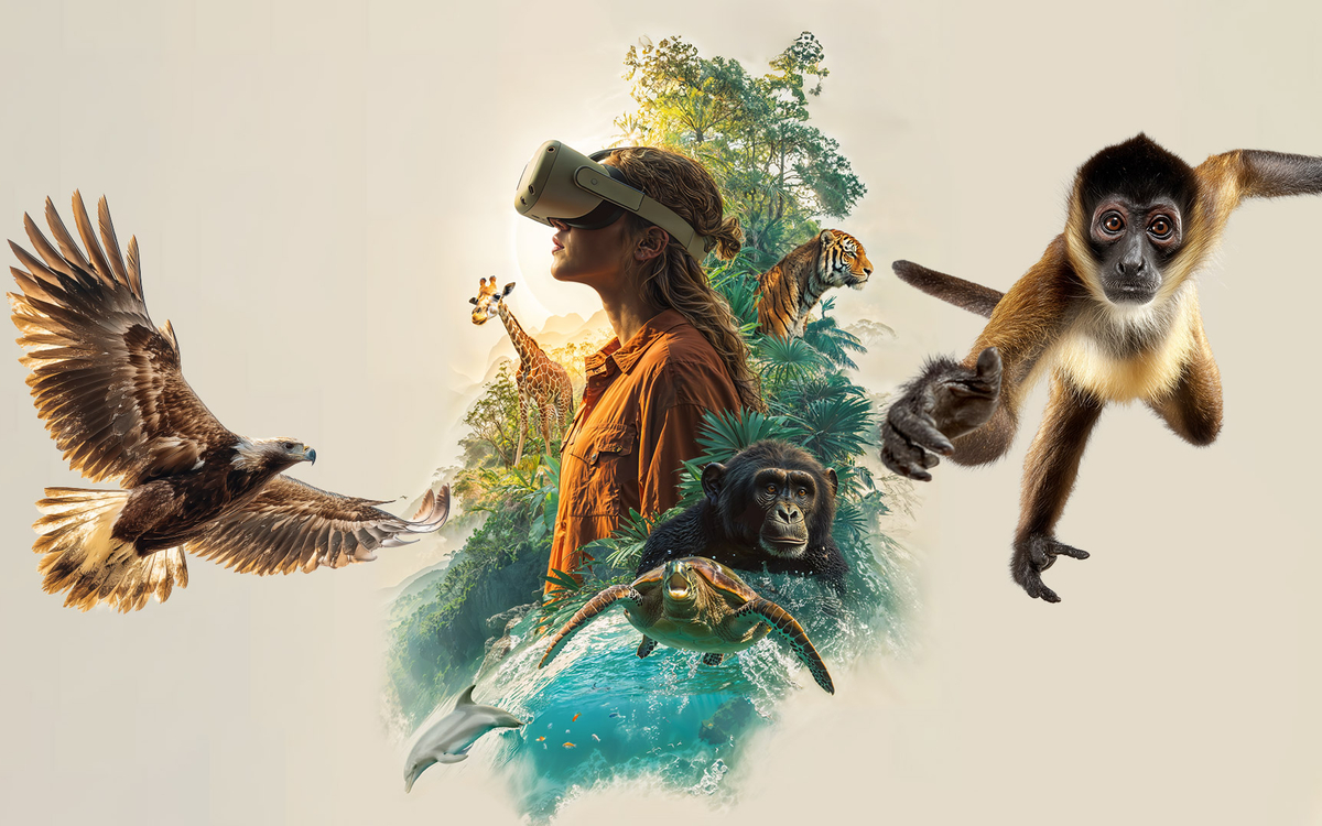 Explorez la nature sauvage en réalité virtuelle au Forum des images Forum des images Paris
