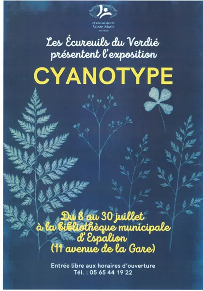 Exposition Cyanotype Bibliothèque municipale d&rsquo;Espalion Espalion