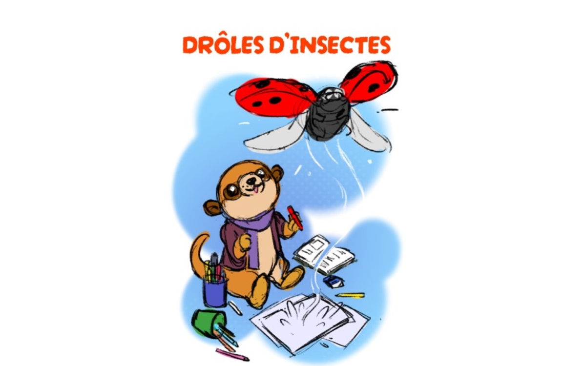 Exposition "Drôles d'insectes" de Kei Bibliothèque Maurice Genevoix Paris