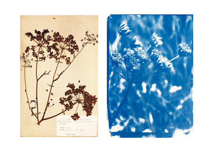 Exposition « Explorations d’un territoire » par Carole Renard Le Grand Lieu du Conte