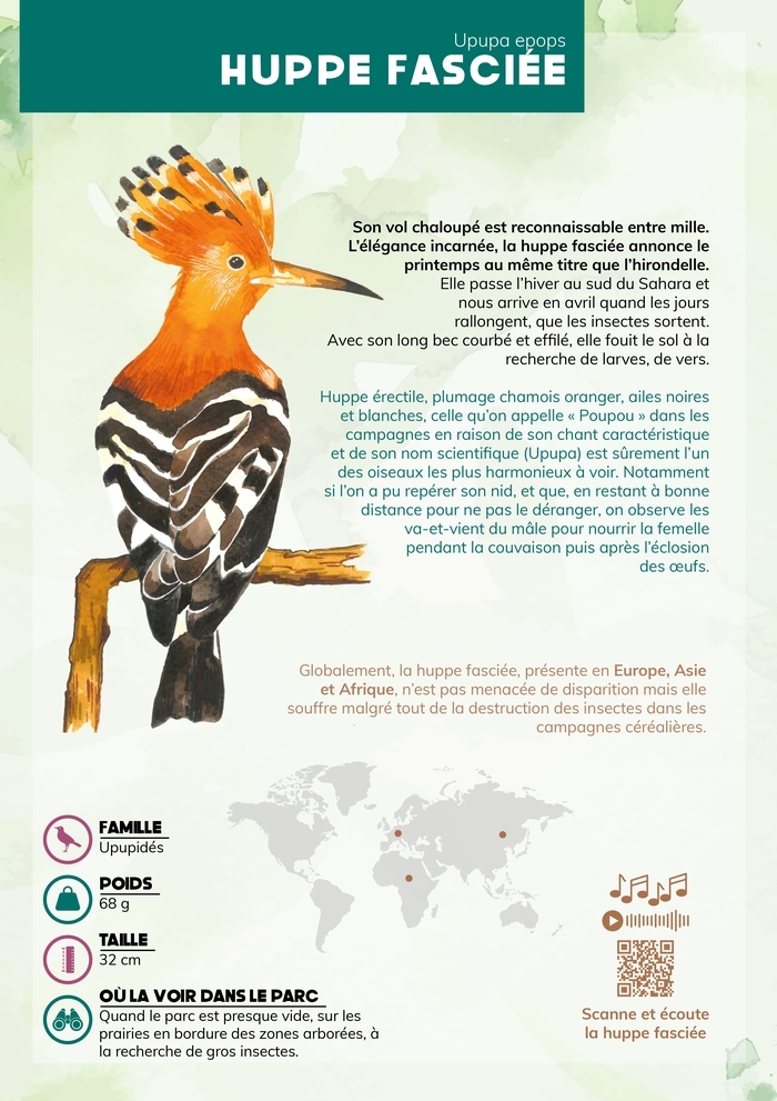 Exposition illustrée « Les oiseaux familiers du parc », Parc Jean-Macé, Aytré