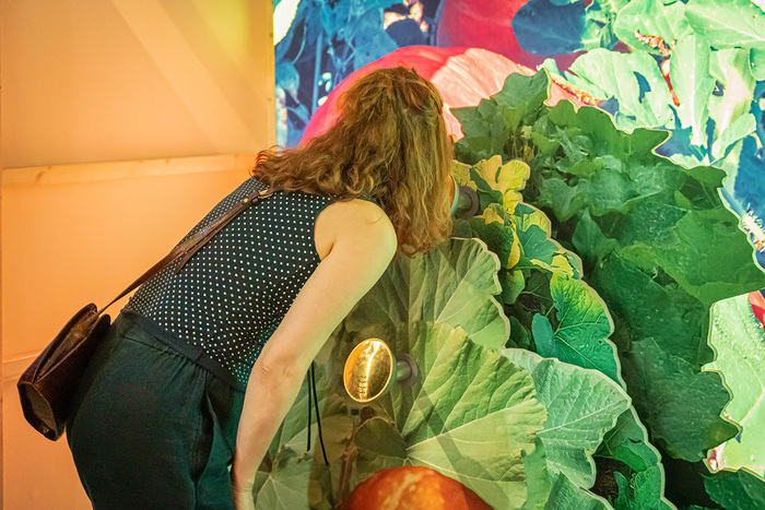 Exposition Jardiner – Atelier Bar à plantes médicinales, Cité des sciences et de l’industrie, Paris