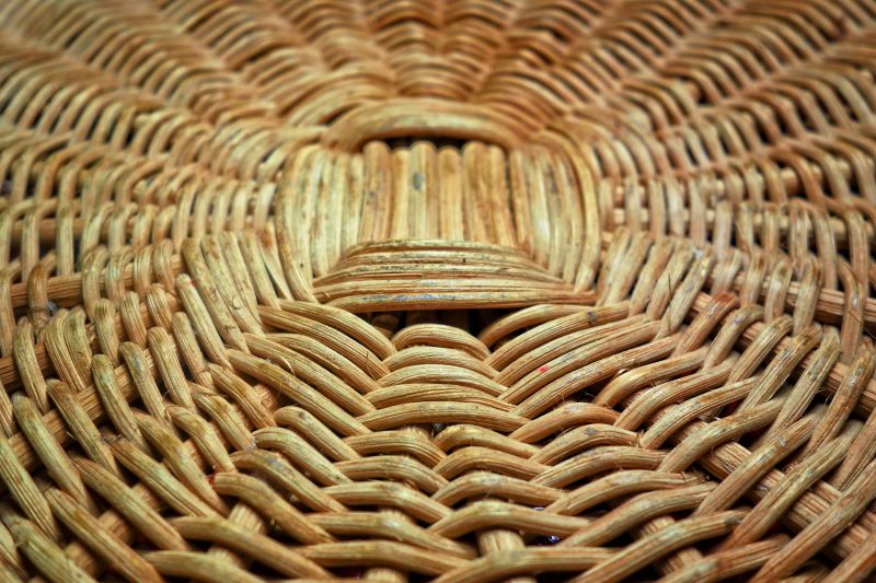 Exposition La Vitrine Rouffignacoise La Vitrine Rouffignacoise Rouffignac-Saint-Cernin-de-Reilhac
