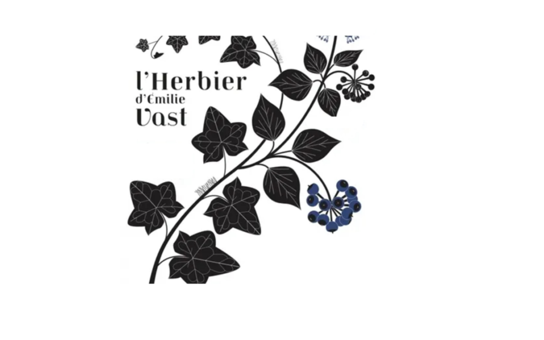 Exposition « L&rsquo;herbier » d&rsquo;Emilie Vast Bibliothèque des Batignolles Paris