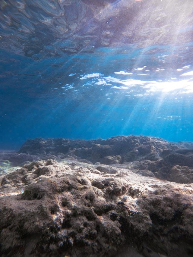 Exposition L’océan un colosse aux pieds d’argile médiathèque de l&rsquo;Eau Vive Blainville-sur-l&rsquo;Eau
