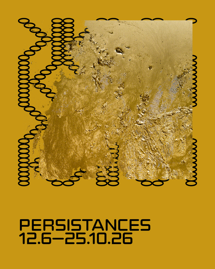 Exposition « Persistances » – Hassan Darsi, La Kunsthalle Mulhouse, Mulhouse