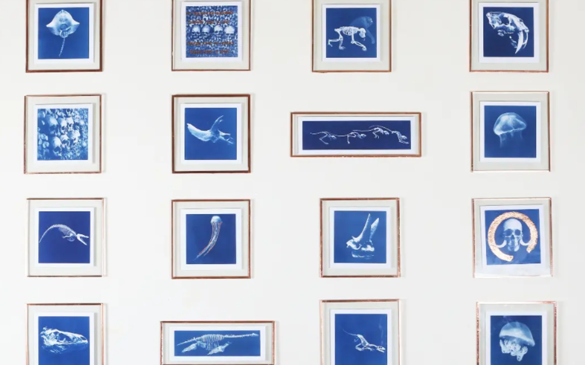 Exposition - Soraya Meunier Bibliothèque Jacqueline de Romilly  Paris