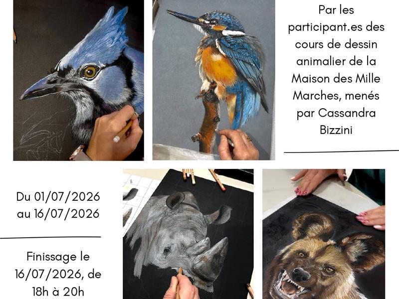 Expositions et restitution  Val de Briey