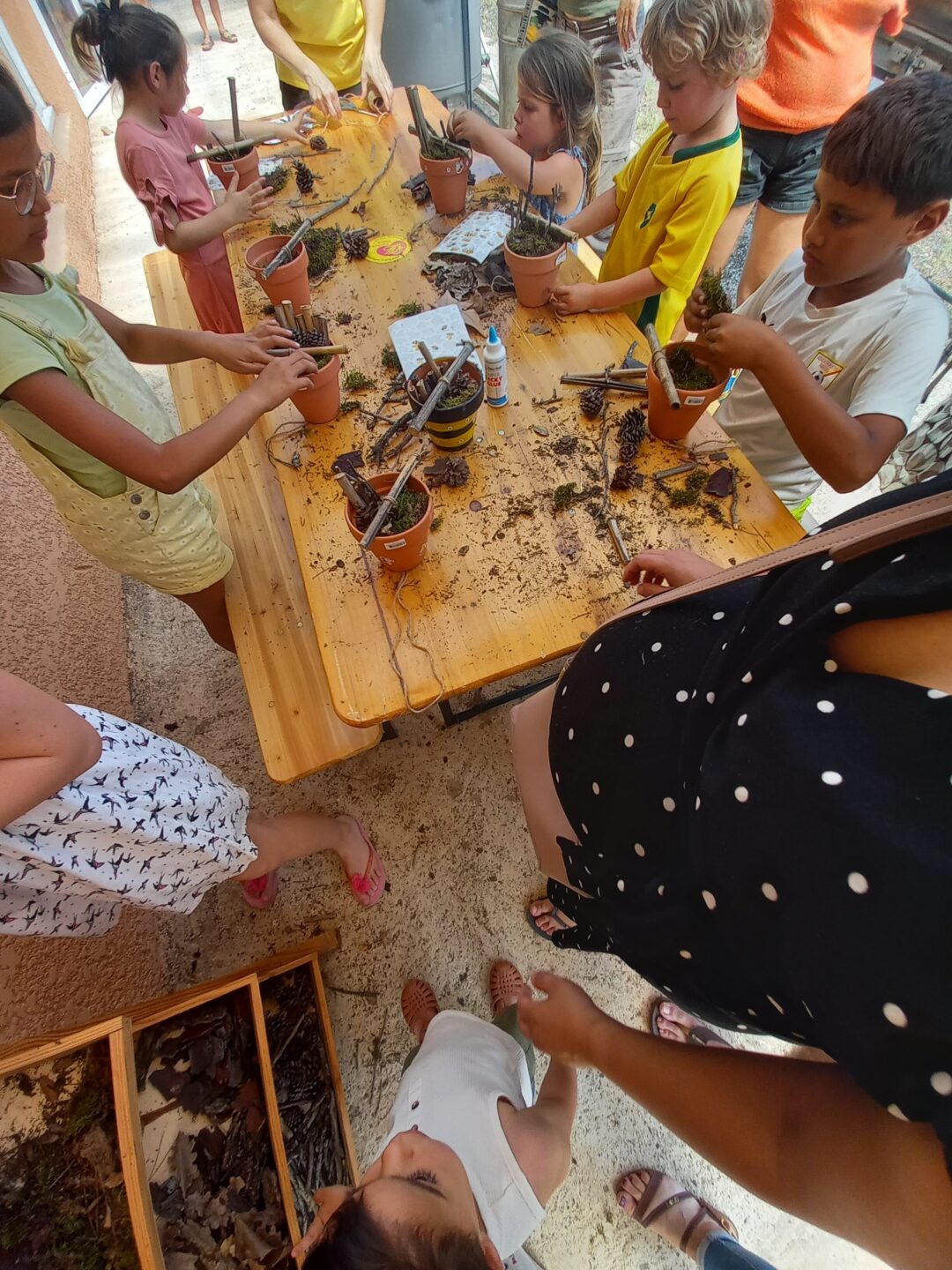 FABRICATION D’UN MINI-HÔTEL À INSECTES Clermont-l’Hérault