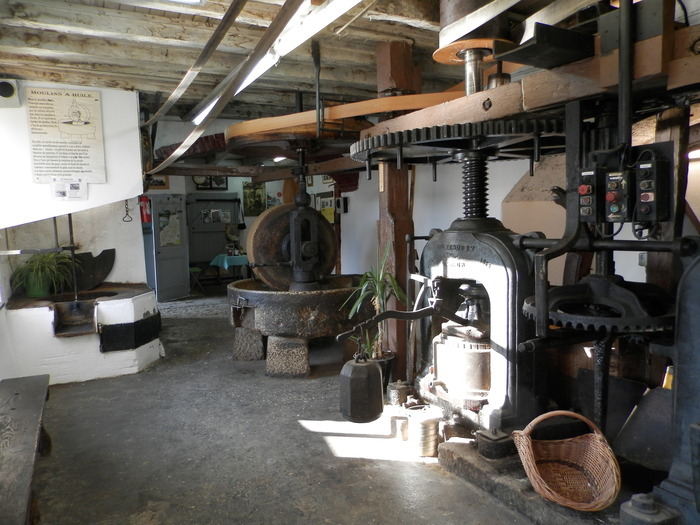 fabrication huiles de noix et noisettes le moulin des bords de l'Ain Neuville-sur-Ain