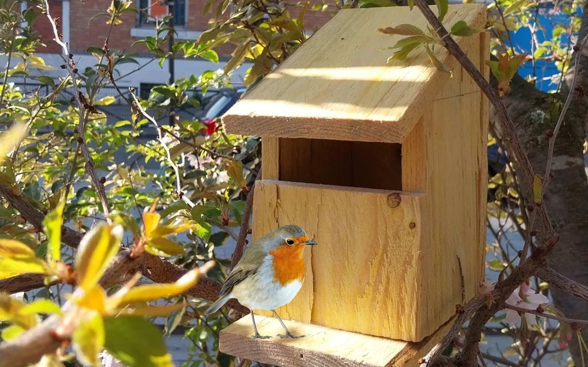 Fabriquez votre nichoir à oiseaux en duo parent-enfant Atelier Paris
