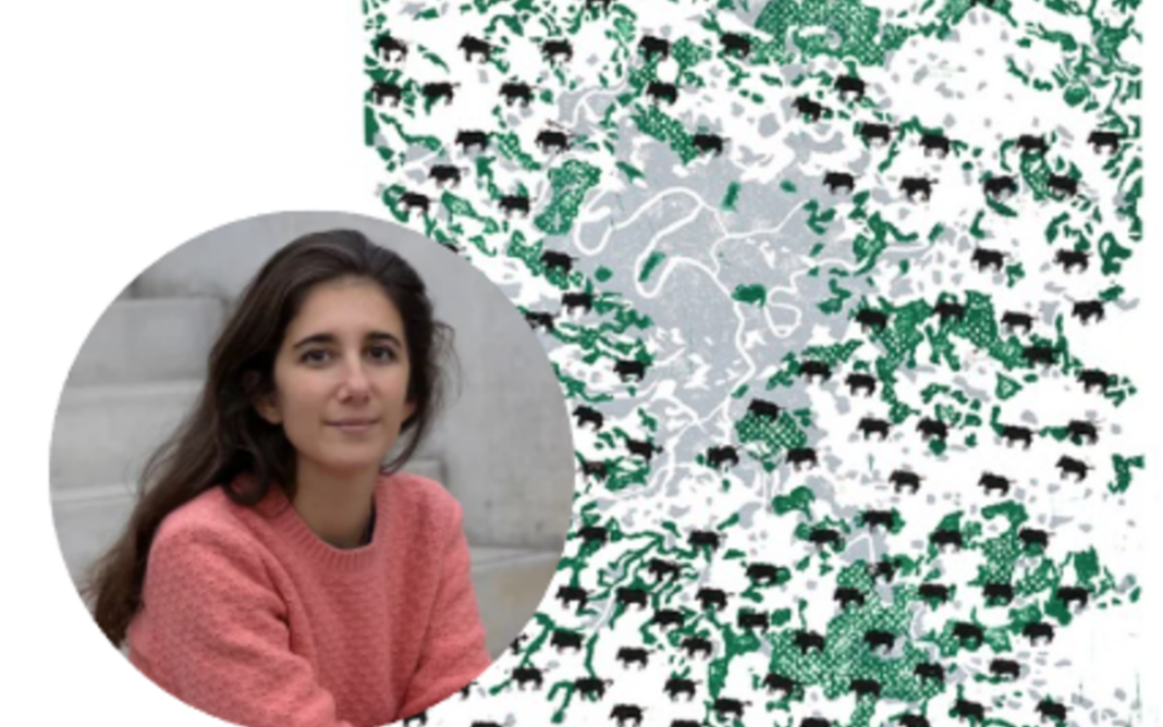 Faire la ville avec les vivants : rencontre conférence avec Léa Mosconi et les étudiants de l’ENSA Belleville Bibliothèque François Villon Paris