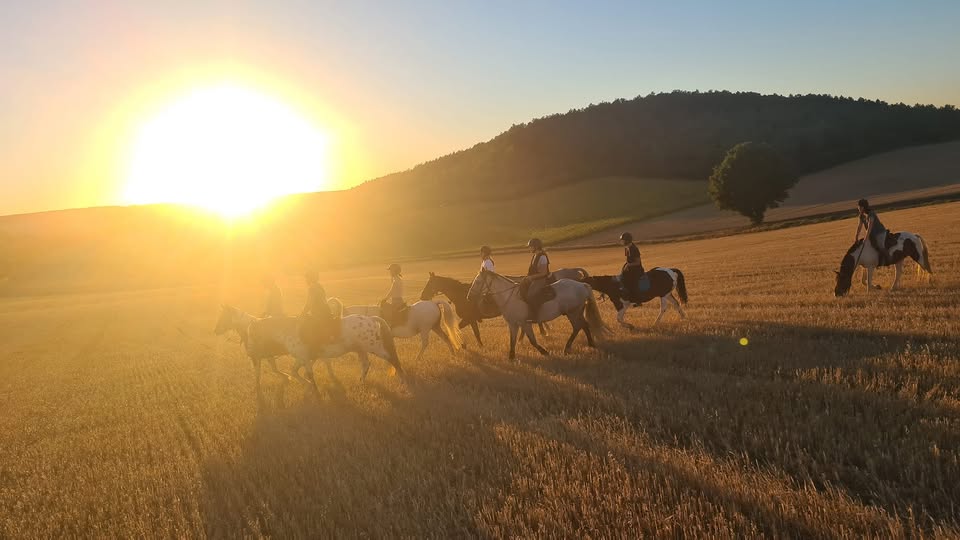 Ferme de Poifond Agenda Juillet 2026 Ferme équestre de Poifond Varzy