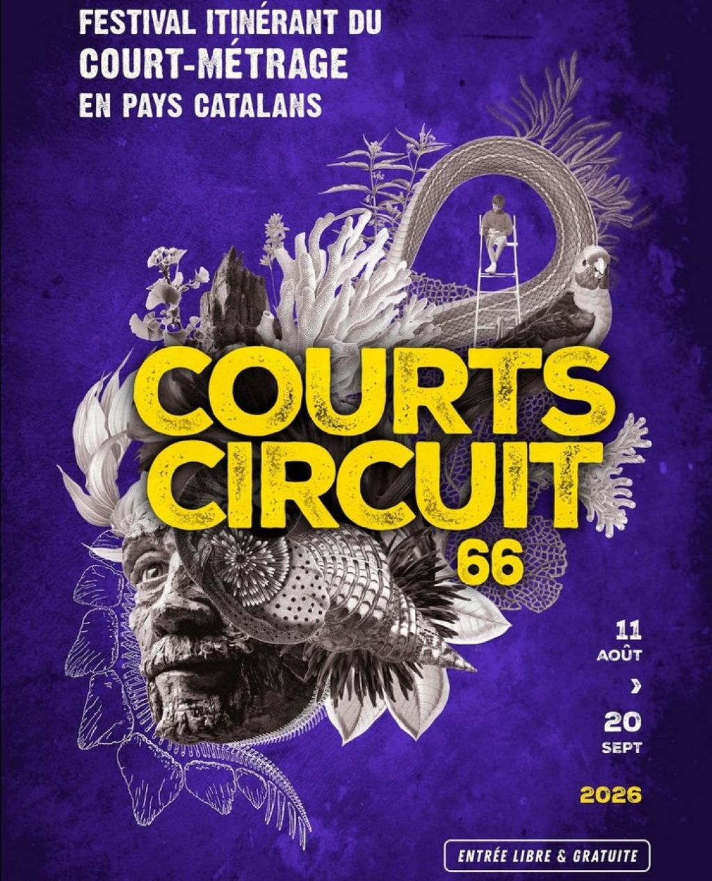 FESTIVAL COURTS-CIRCUIT 66 ET CONCERT DE SAN SEVERINO Pollestres