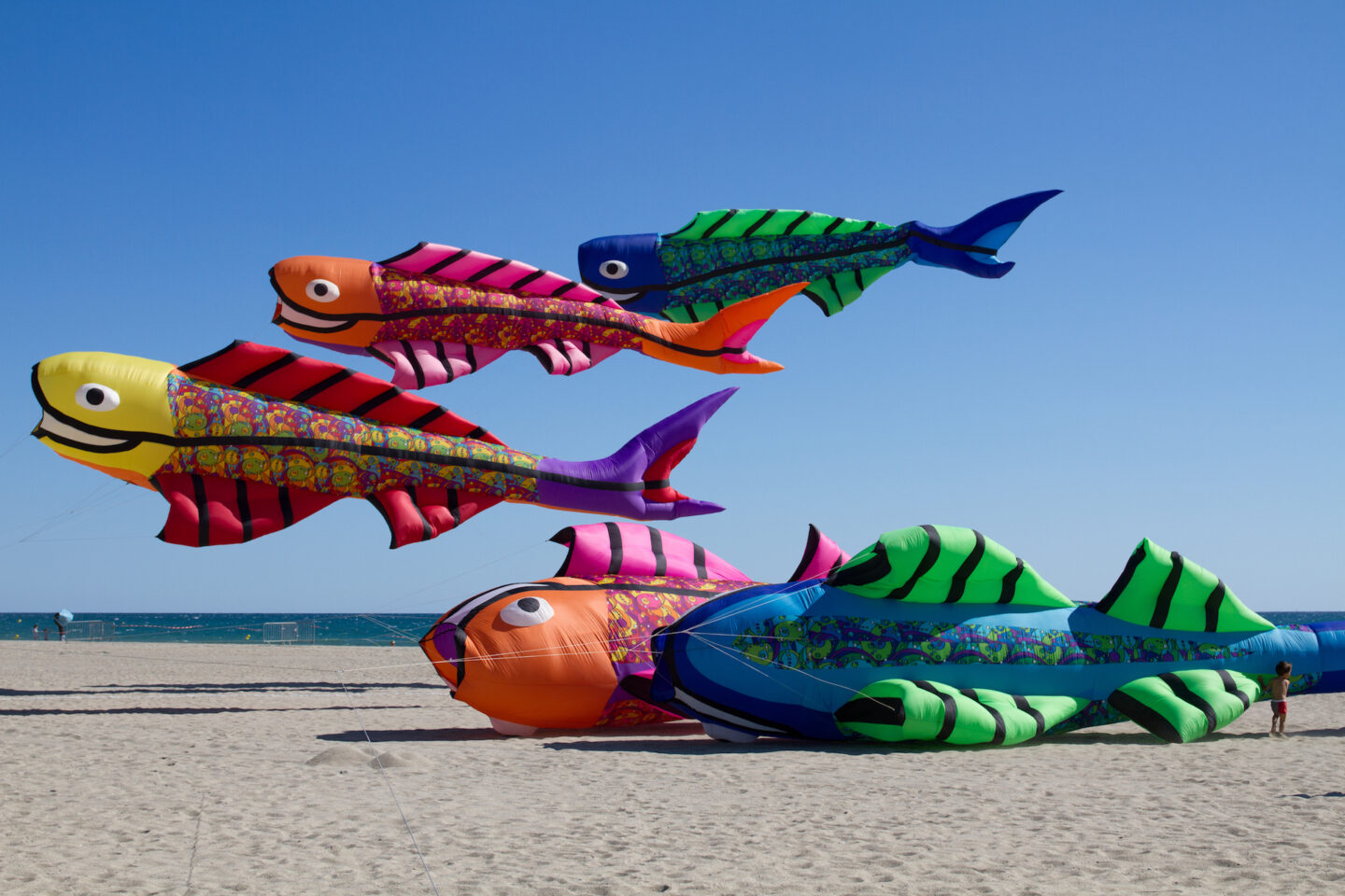 FESTIVAL DU CERF VOLANT Plage nord Saint-Cyprien