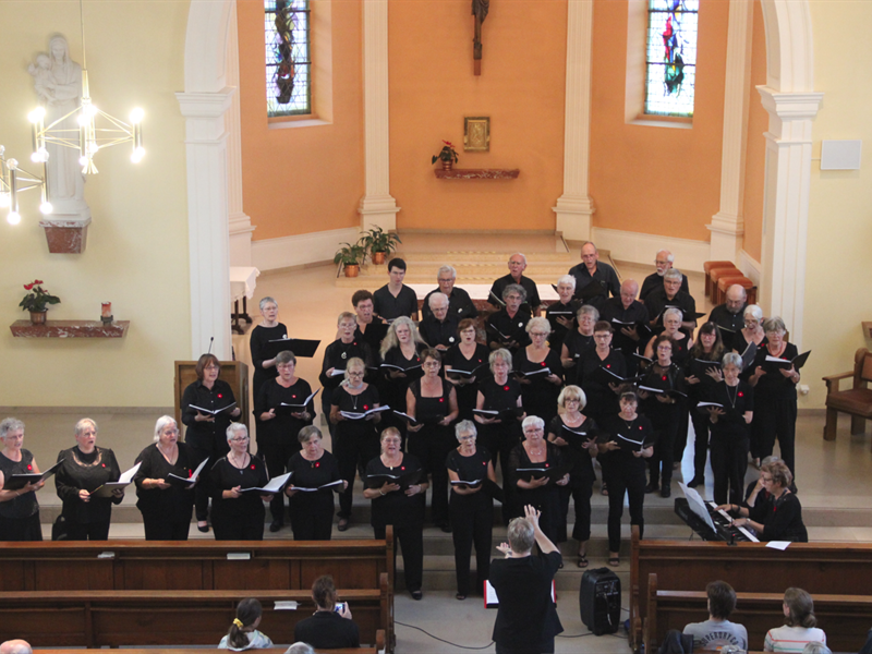 Festival en Pays d&rsquo;Alsace Choeur éphémère de Niederbronn-les-Bains  Oberbronn