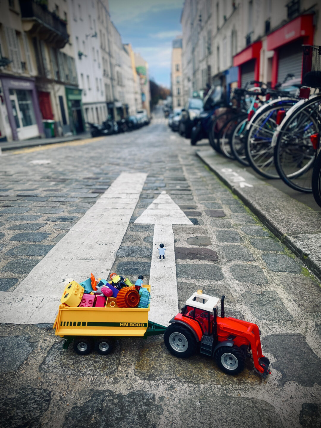 festival lyncéus