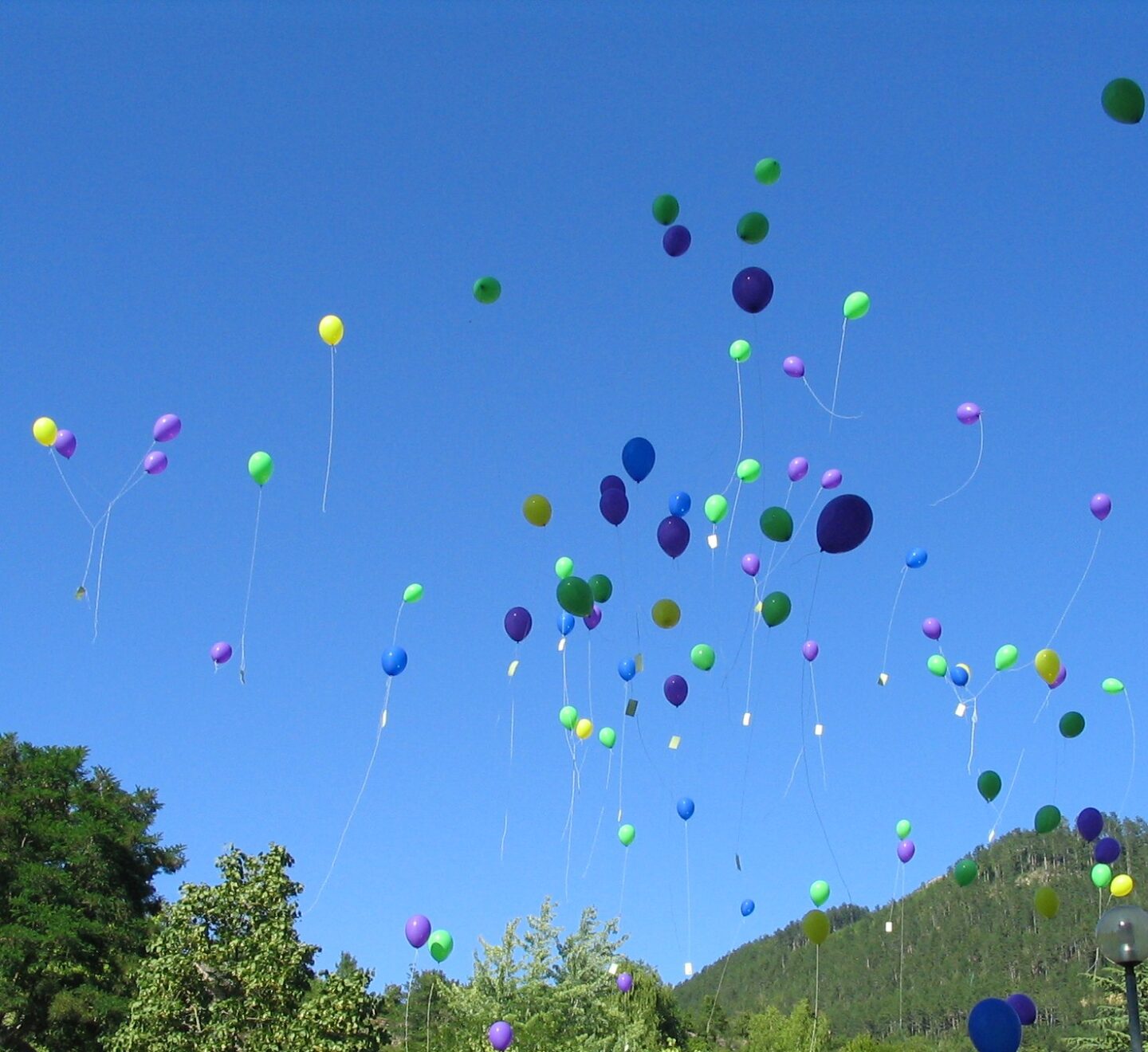 FÊTE DES VIGNES Massegros Causses Gorges