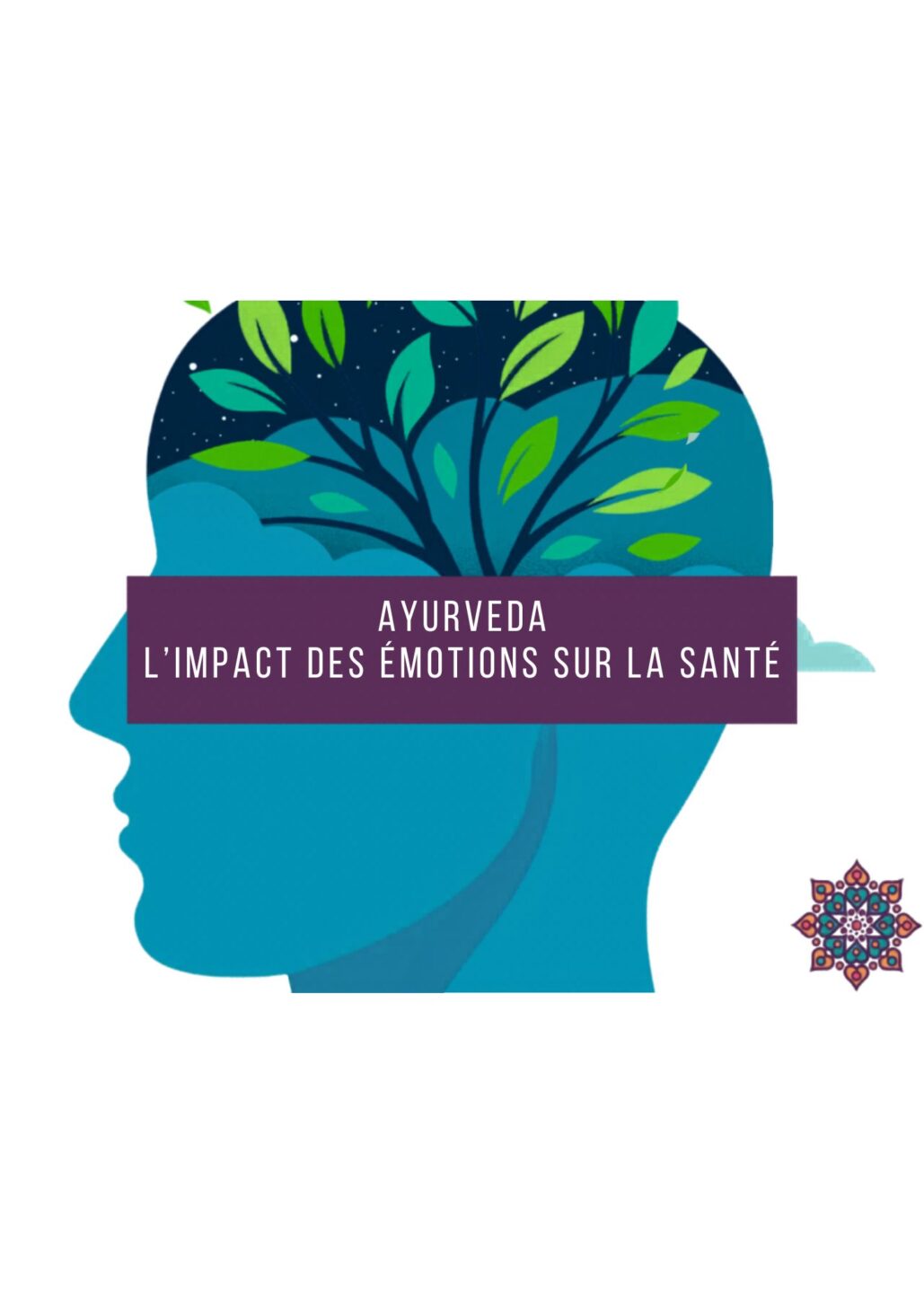 Gardez la santé grâce à vos émotions selon l&rsquo;Ayurveda Centre Ayurvédique Sattva Bien La Roche-Posay