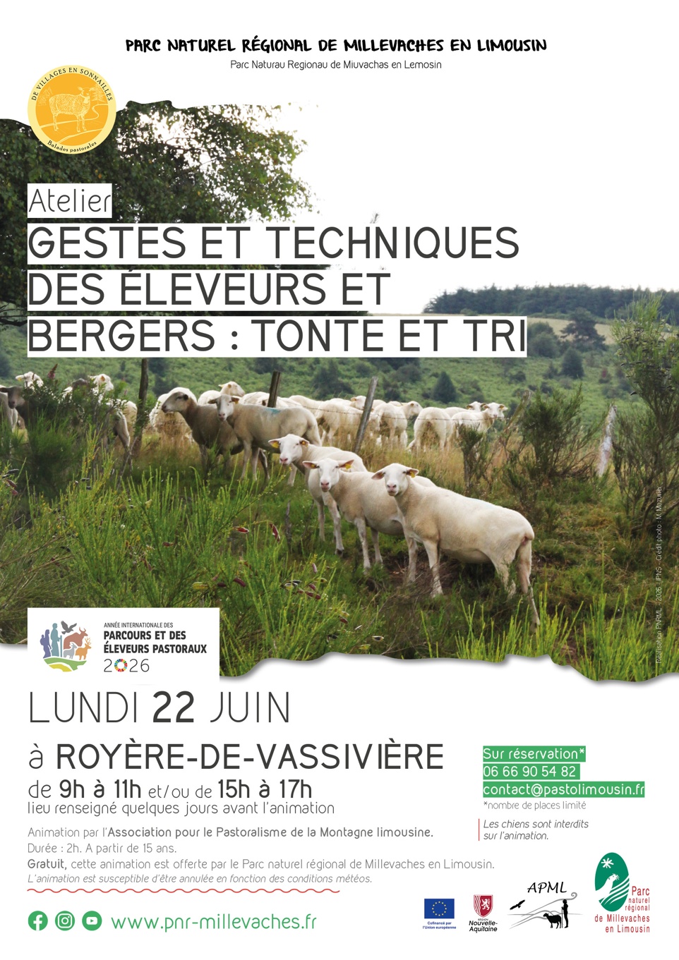 Gestes et techniques des éleveurs et bergers tonte et tri Royère-de-Vassivière