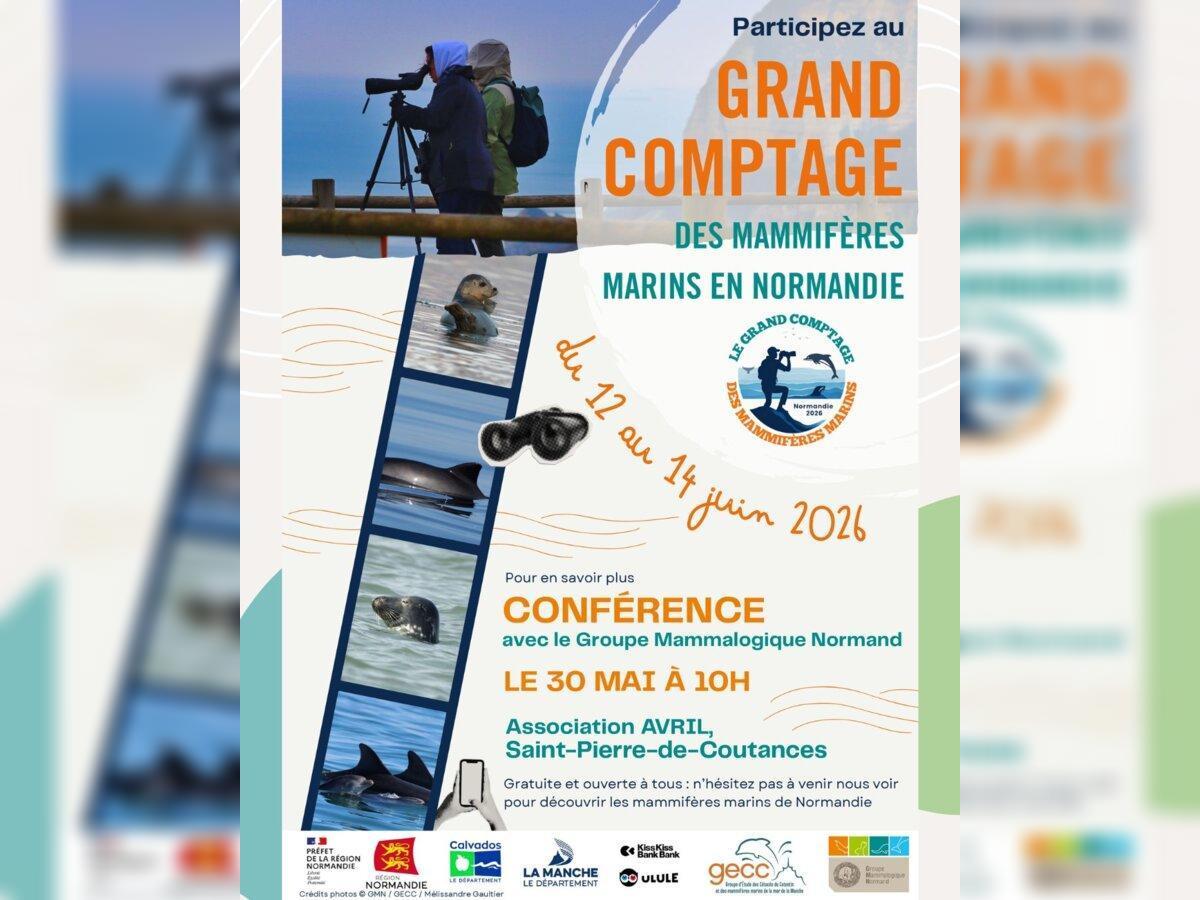 Grand comptage des mammifères marins de Normandie Gonneville Blainville-sur-Mer