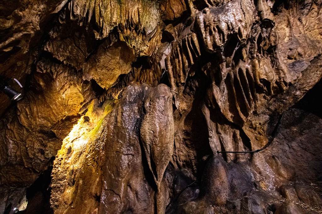 Grotte de Nichet Visite en Musique Plateau de Nichet Fromelennes